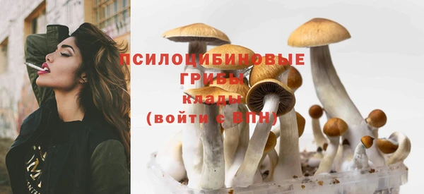 марки nbome Корсаков