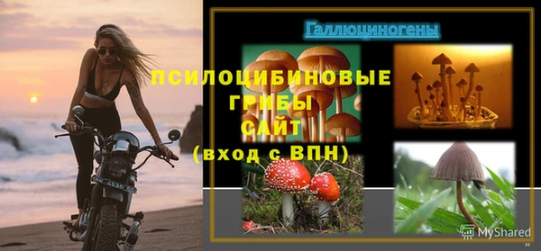 марки nbome Корсаков