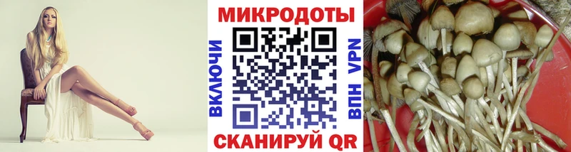 Купить где  Красково  Псилоцибиновые грибы Psilocybine cubensis 